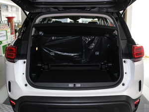 2019360THP Origins VI g