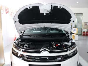 2019360THP Origins VI 