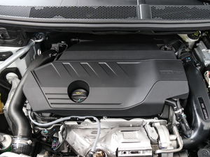 2019360THP Origins VI 