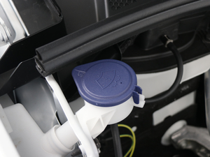 2019360THP Origins VI 