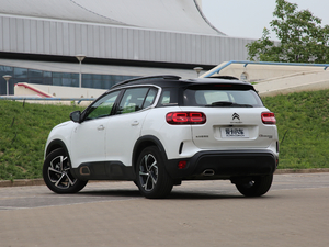 2019360THP Origins VI 45