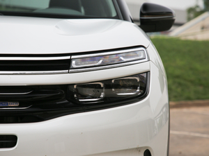 2019360THP Origins VI 