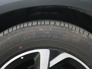 2019360THP Origins VI ݆̥ߴ