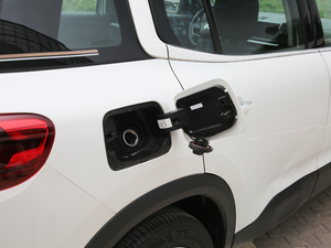 2019360THP Origins VI w