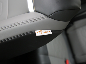 2019360THP Origins VI g