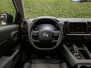 2019360THP Origins VI P