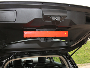 2019360THP Origins VI 