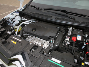 2019360THP Origins VI 