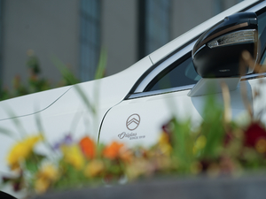 2019400THP Origins ^