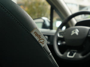 2019400THP Origins g