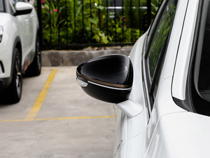 2019400THP Origins ^