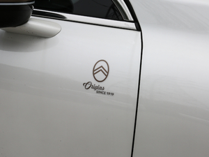 2019400THP Origins ^