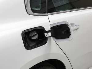 2019400THP Origins w