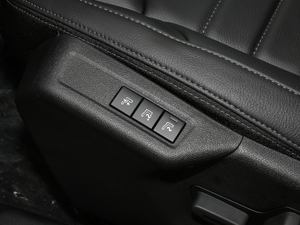 2019400THP Origins g