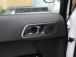 2019400THP Origins g