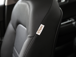 2019400THP Origins g