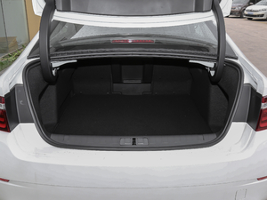 2019400THP Origins g