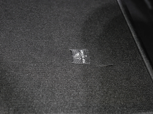 2020230THP Origins g