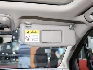 2020230THP Origins g