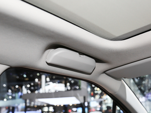 2020230THP Origins g