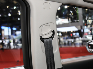 2020230THP Origins g