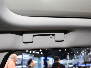 2020230THP Origins g