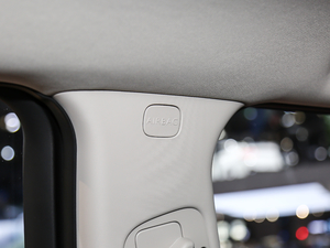 2020230THP Origins g