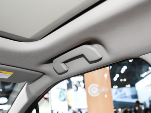 2020230THP Origins g