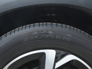 2020360THP ORIGINS  ݆̥ߴ