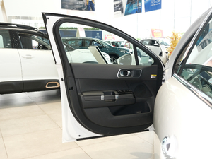 2020款400THP 豪华型 驾驶位车门