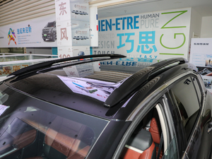 2020款1.6T 四驱插混尊享型 车顶