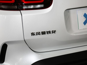 2020款1.6T 四驱插混悦享型 细节外观