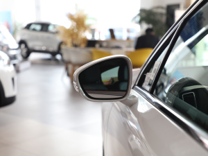 2021400THP m (x)(ji)^