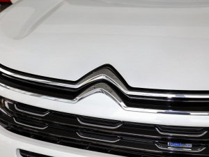 2021400THP  (x)(ji)^