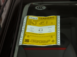 2021400THP  ŲͺĘʾ