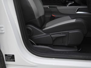 2021360THP ORIGINS g