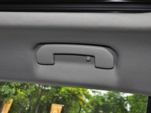 2021360THP ORIGINS g