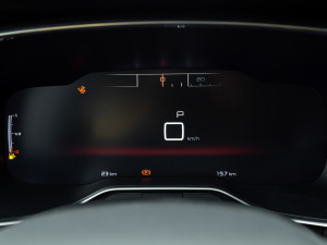 2021360THP  п؅^(q)