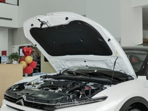 20231.6T  l(f)(dng)C(j)œ