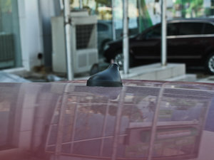 20121.6L ք(dng)а (x)(ji)^