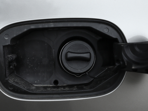 2019C 260 \Ӱ (x)(ji)^