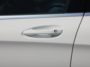 2019GLA 200 (dng) {T