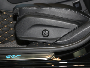 2020EQC 350 4MATIC g