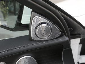 2020E 300 L \(yn)(dng)A g