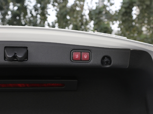 2020E 300 L \(yn)(dng)A g