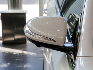 2020E 300 L A (x)(ji)^