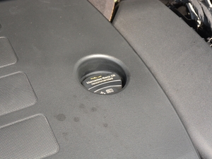 2021E 300 L F\(yn)(dng) 