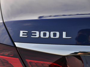 2021E 300 L r(sh) (x)(ji)^