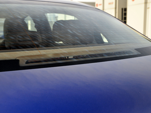 2021E 300 L r(sh) (x)(ji)^