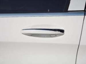 2021款C 260 L 主驾门拉手